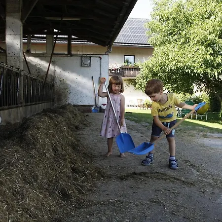 Family On Repecnik Farm In Gorje, Bled *