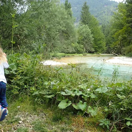 Family On Repecnik Farm In Gorje, Bled