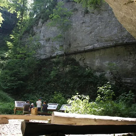 Family On Repecnik Farm In Gorje, Bled زغورنجي