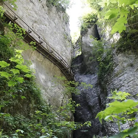 Family On Repecnik Farm In Gorje, Bled アパート