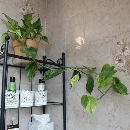 Family On Repecnik Farm In Gorje, Bled *