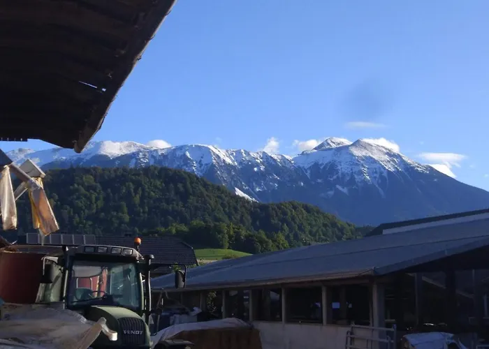 Family On Repecnik Farm In Gorje, Bled * Zgornje Gorje
