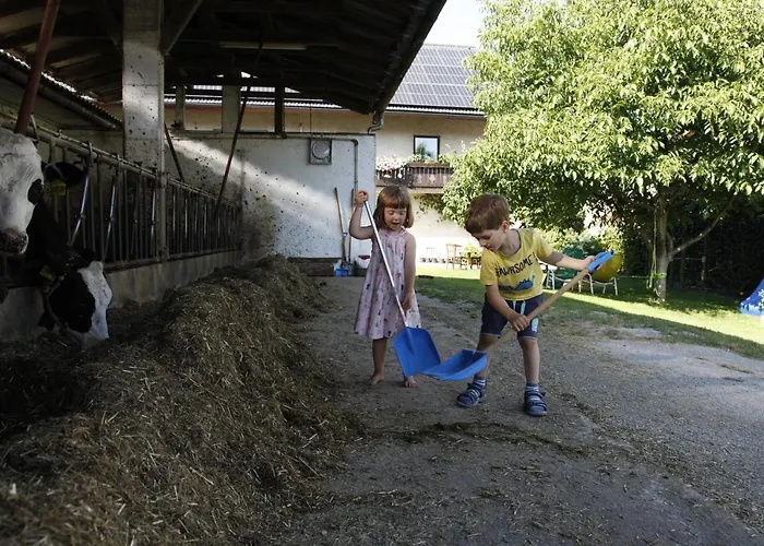 Family On Repecnik Farm In Gorje, Bled *
