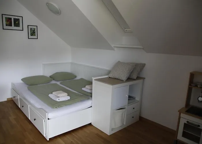 Family On Repecnik Farm In Gorje, Bled *